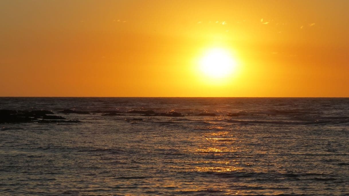 Place Punta del Este