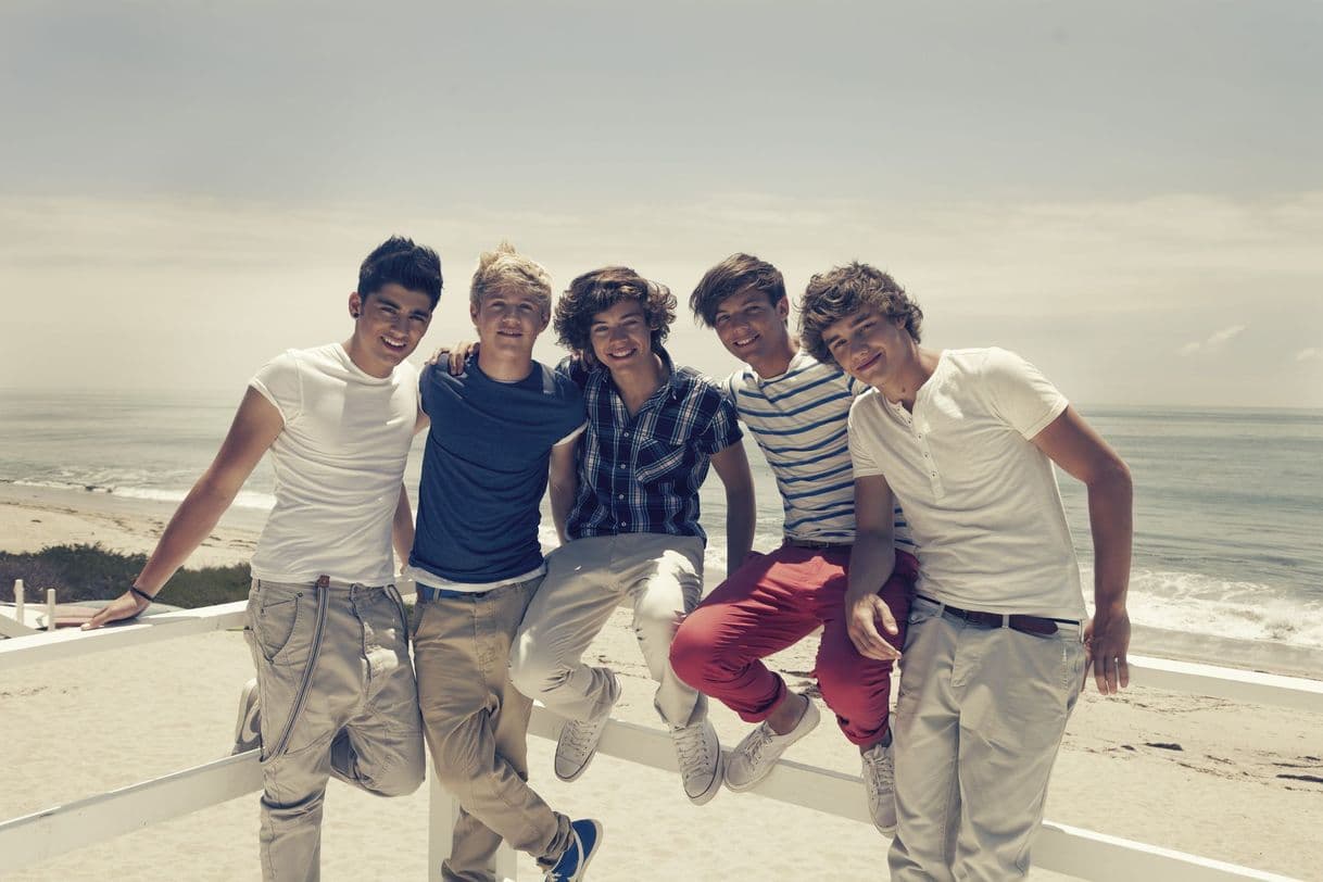 Canción What Makes You Beautiful