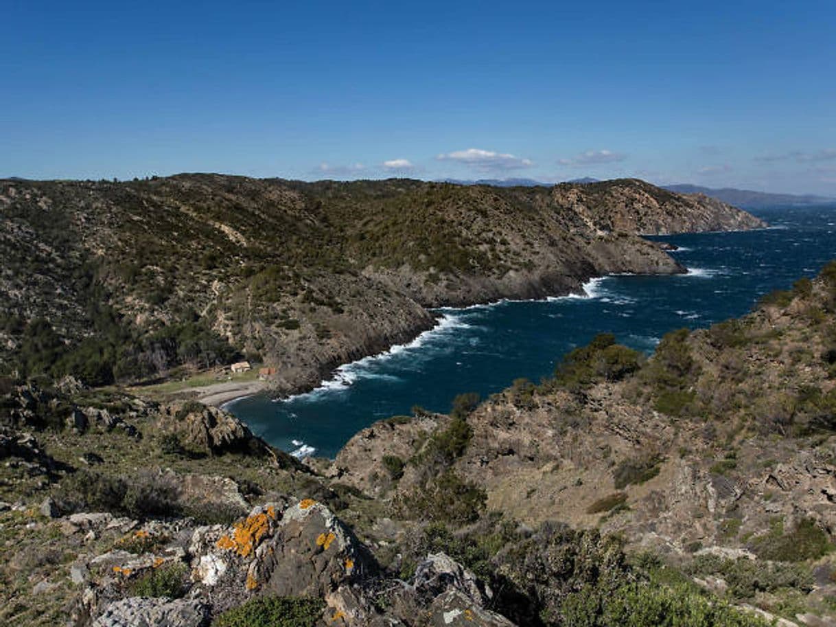 Place Cala Tavallera