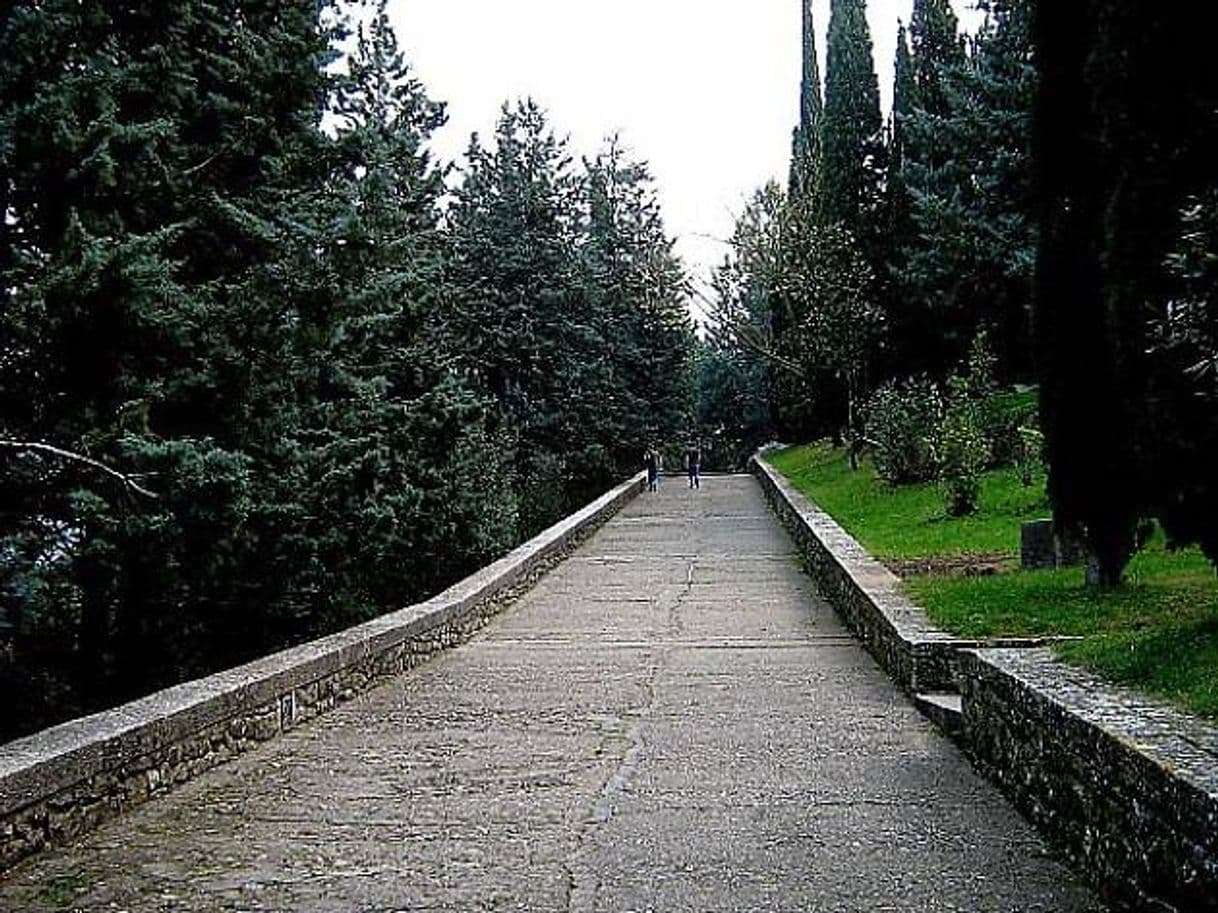 Place Passeig arqueologic