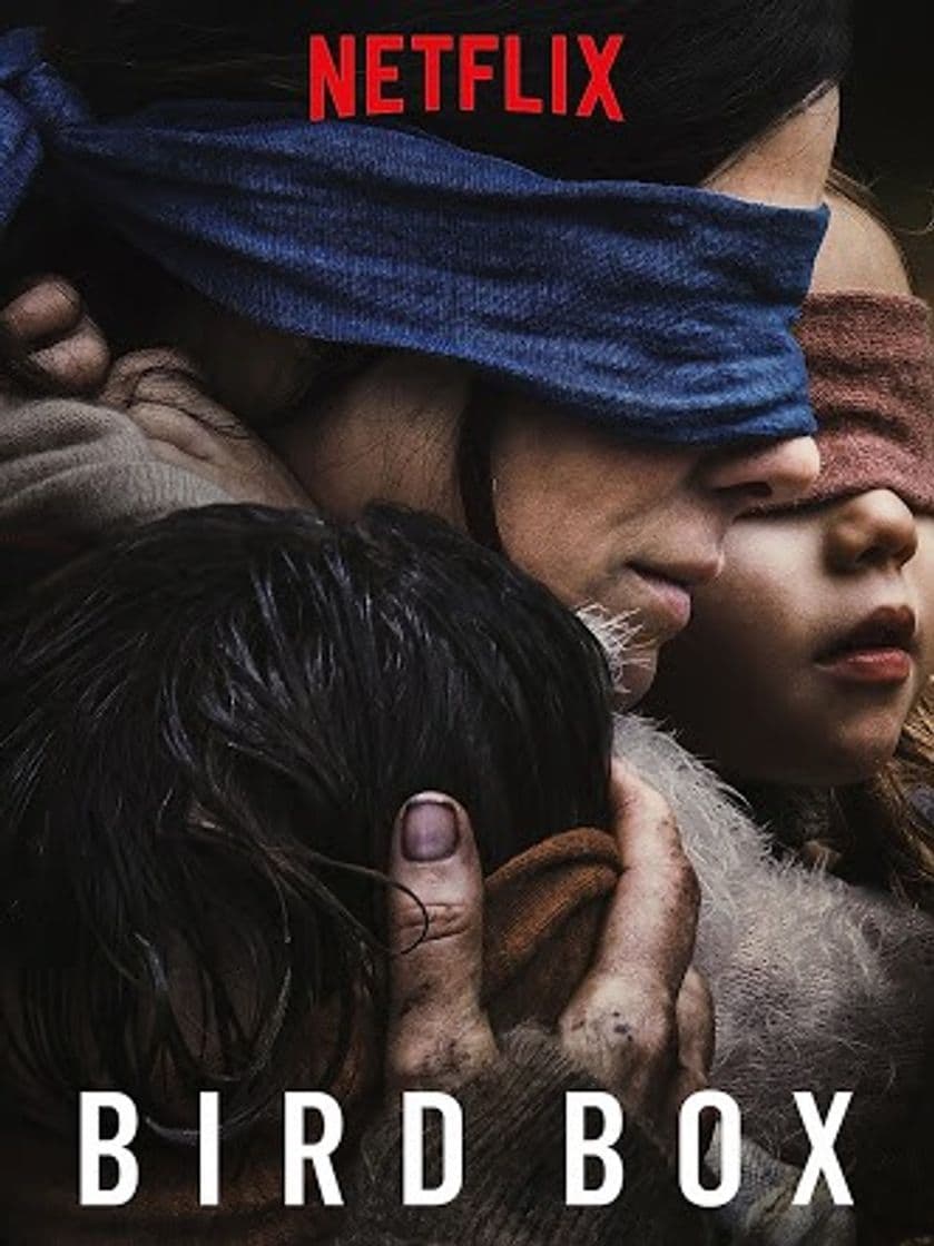 Película Bird Box | Netflix Official Site