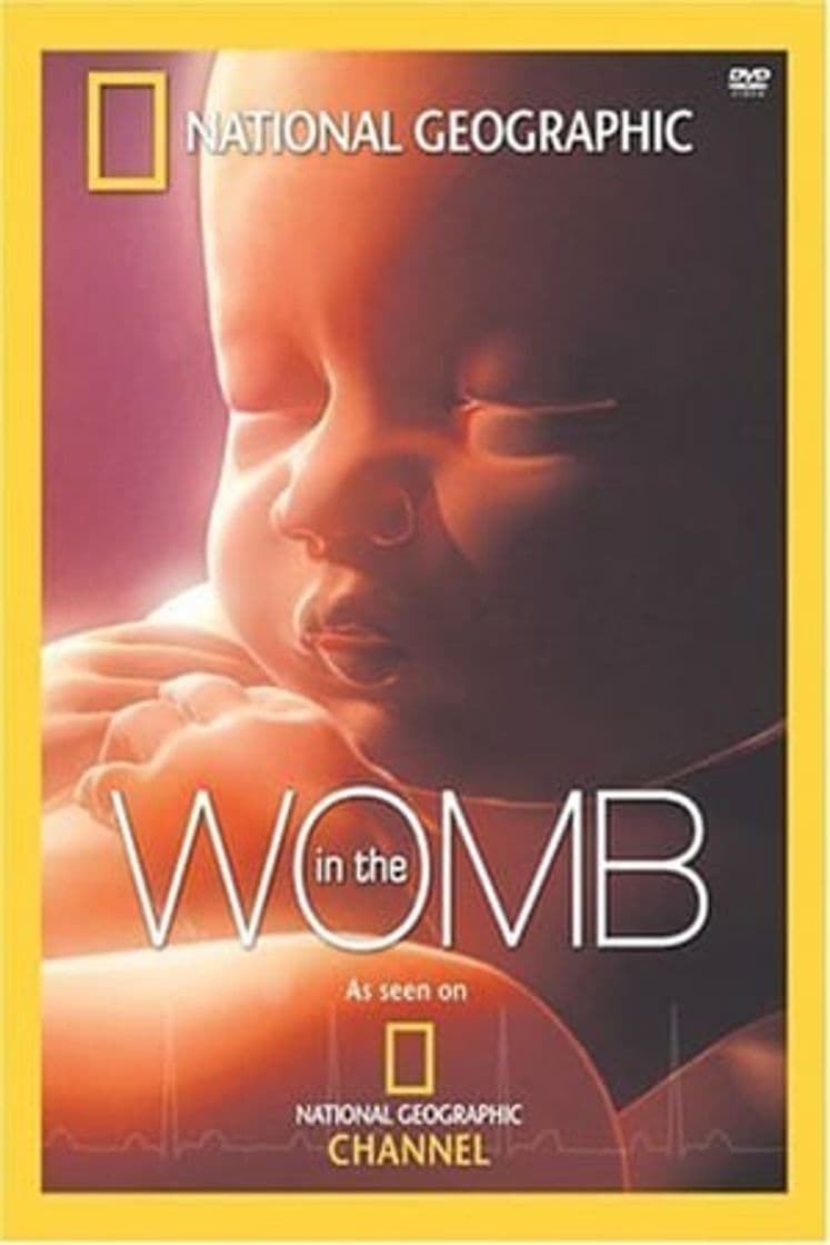 Movie In The Womb