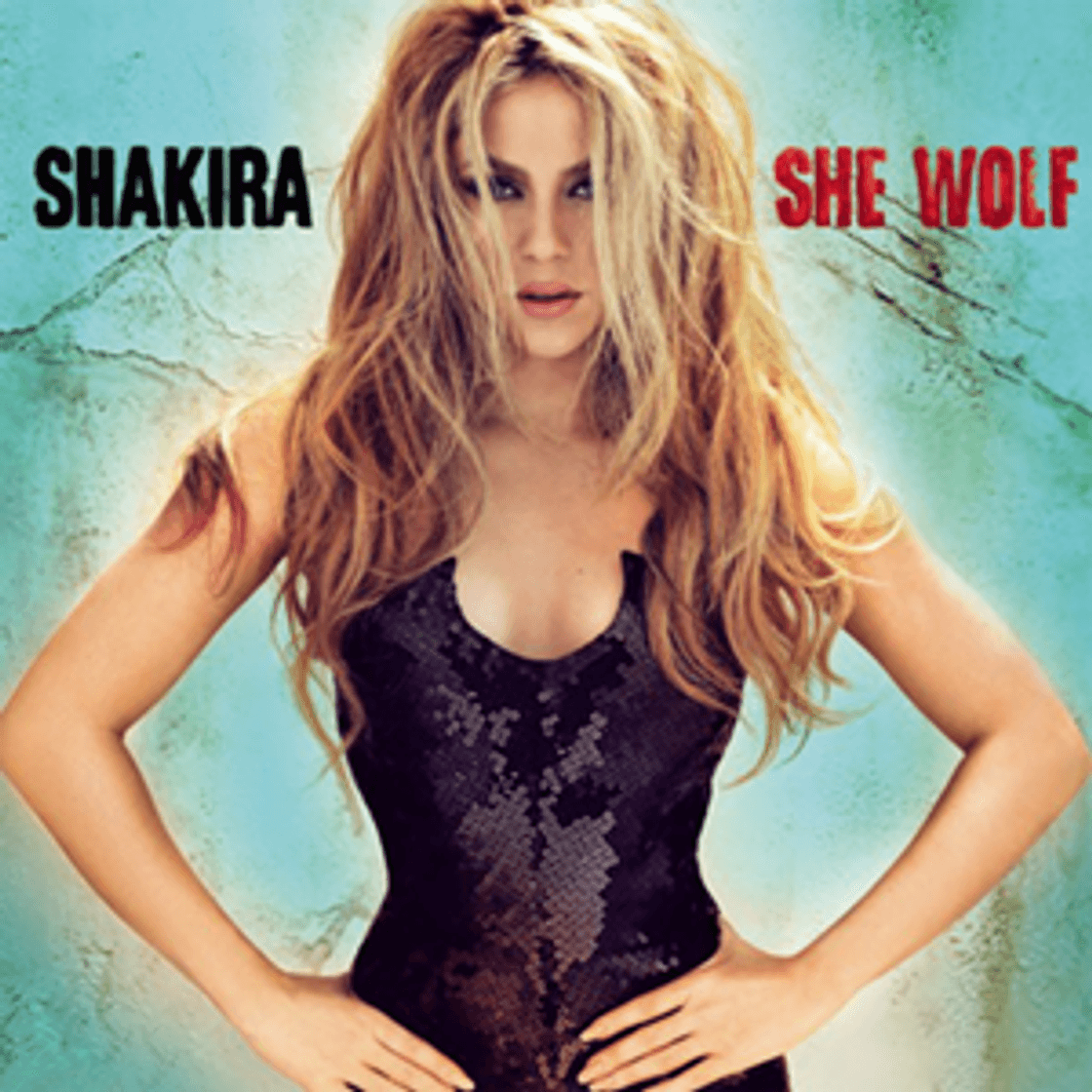 Moda Shakira — Loba.