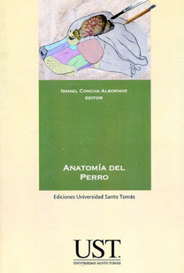 Book Anatomía del Perro - I. Concha