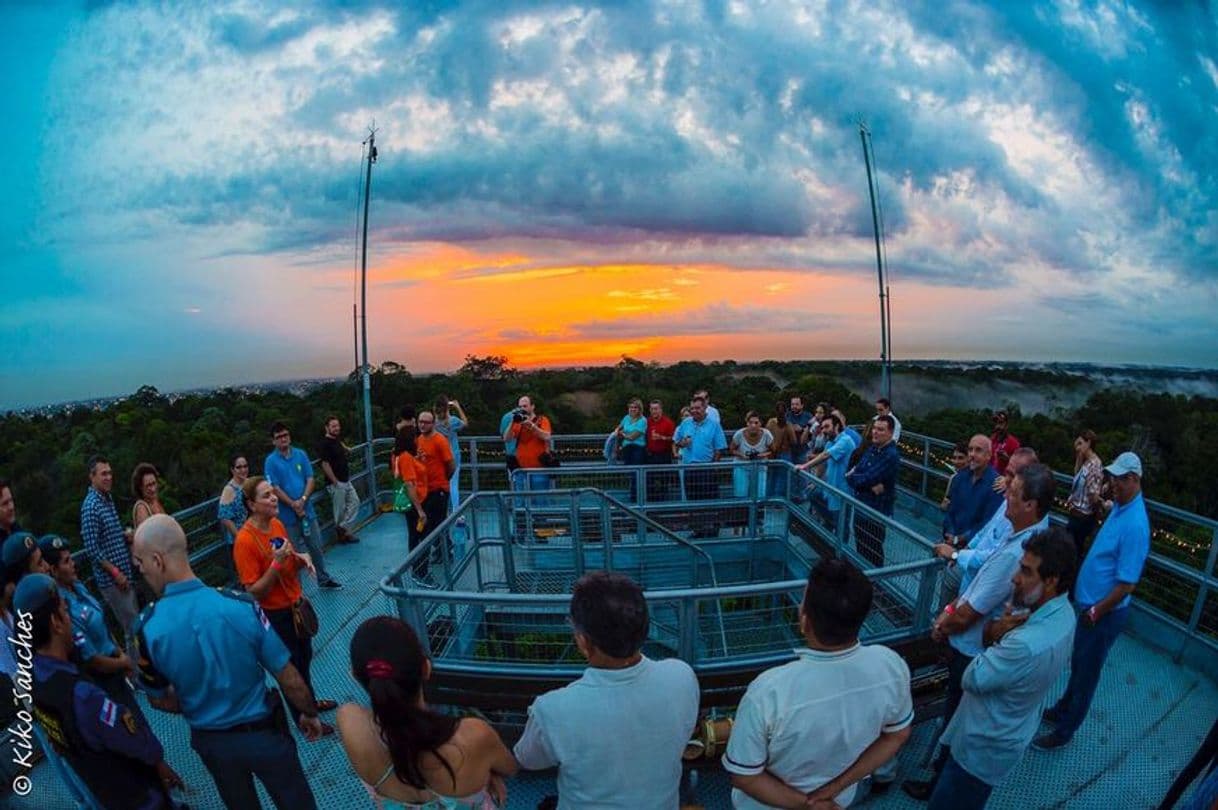 Lugar MUSA Museu da Amazônia