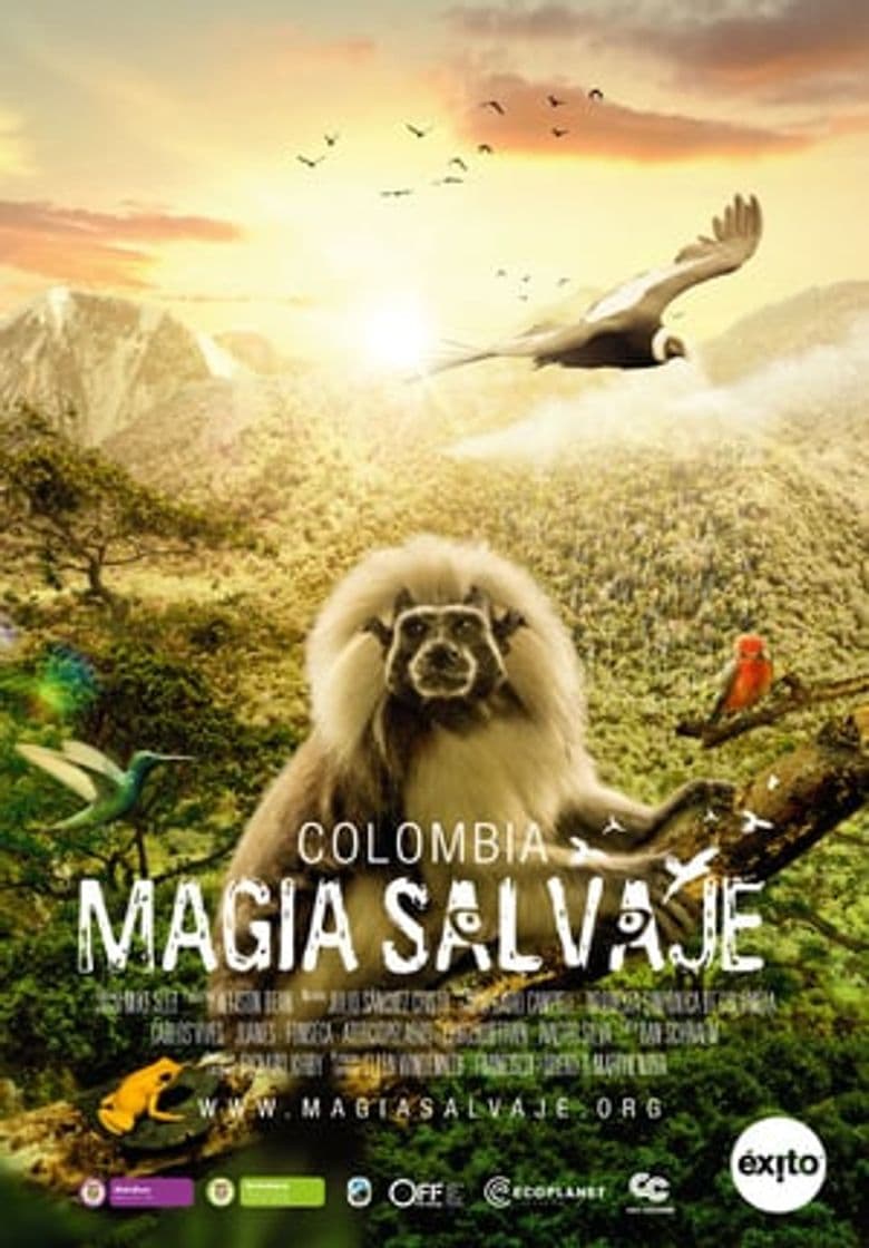 Película Colombia: Wild Magic