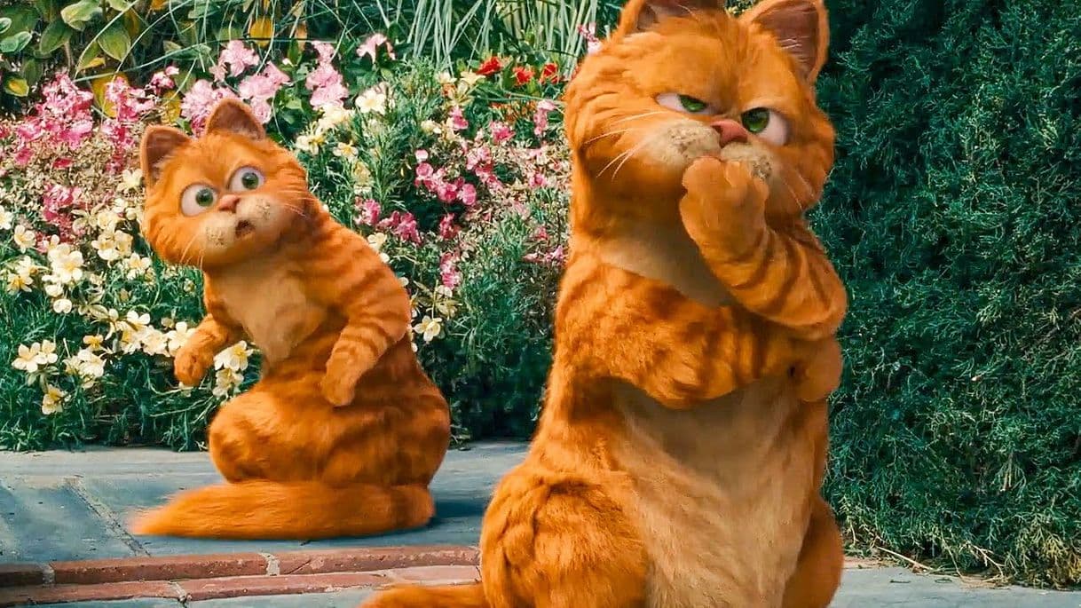 Película Garfield: A Tail of Two Kitties