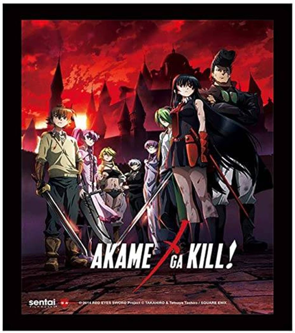 Serie Akame ga Kill!