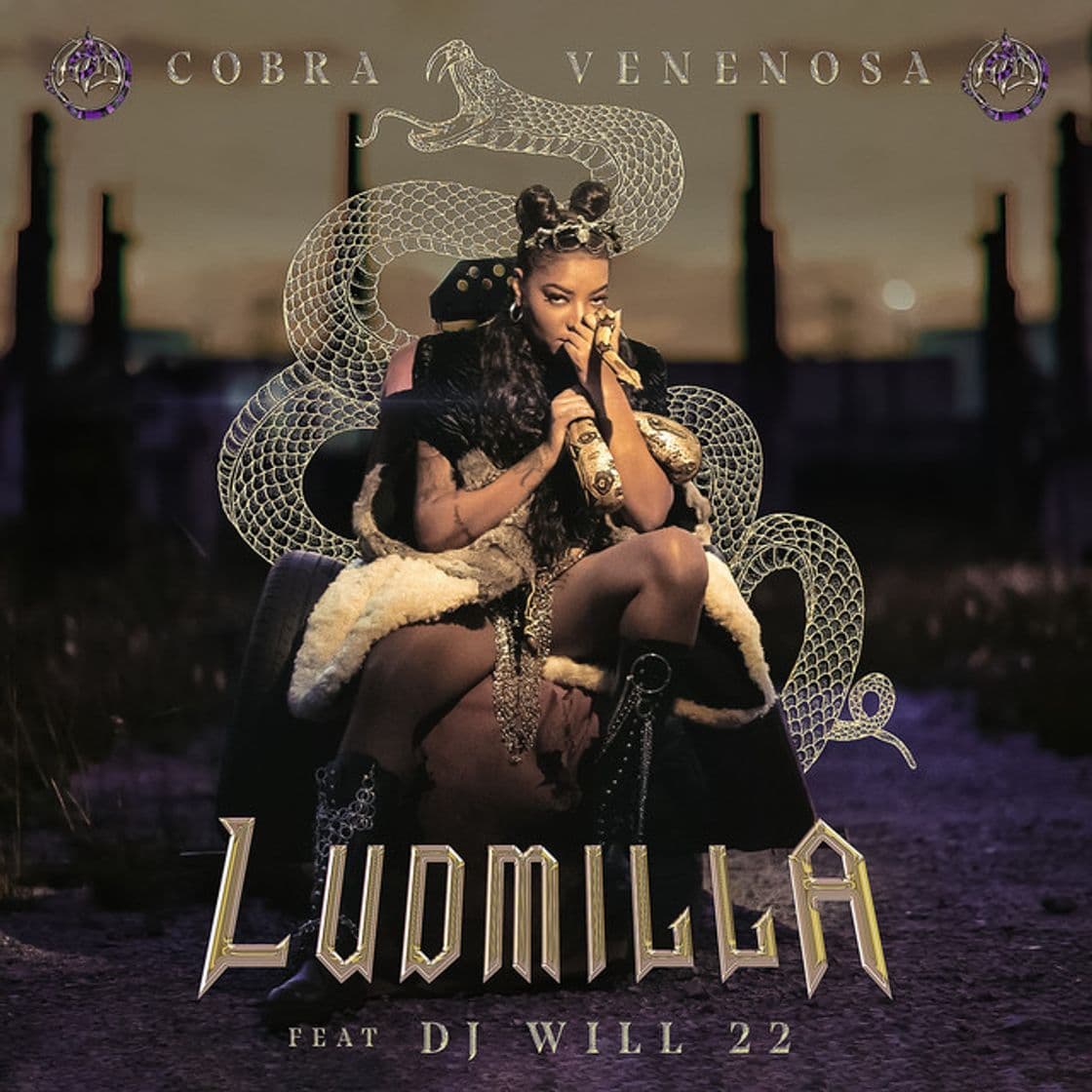 Music Cobra Venenosa (feat. DJ Will)