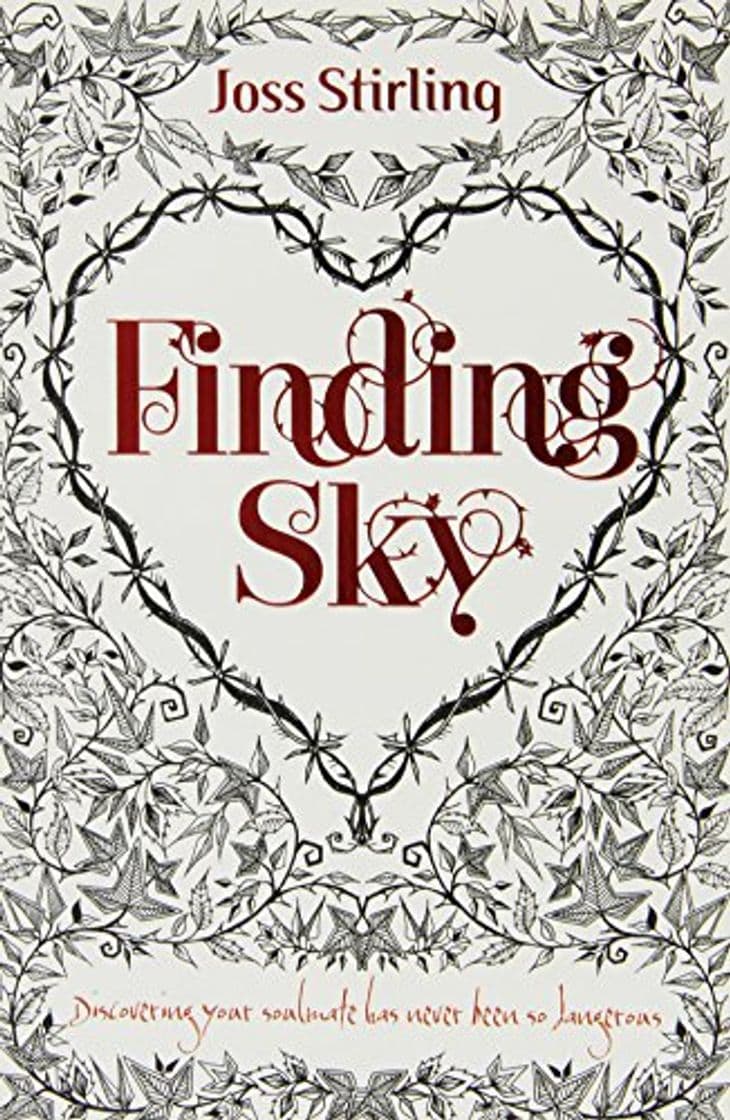 Libro Finding Sky