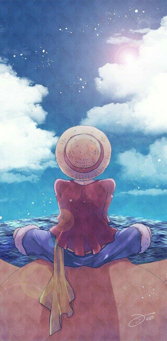 Moda Luffy 💫