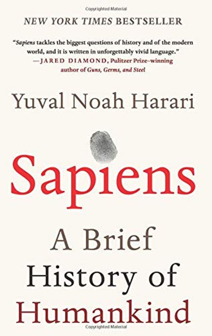 Book Sapiens: A Brief History of Humankind