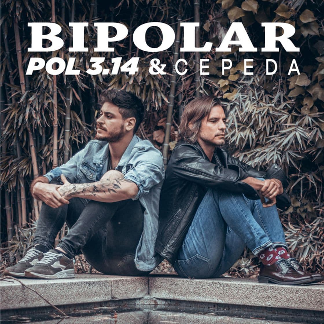 Canción Bipolar