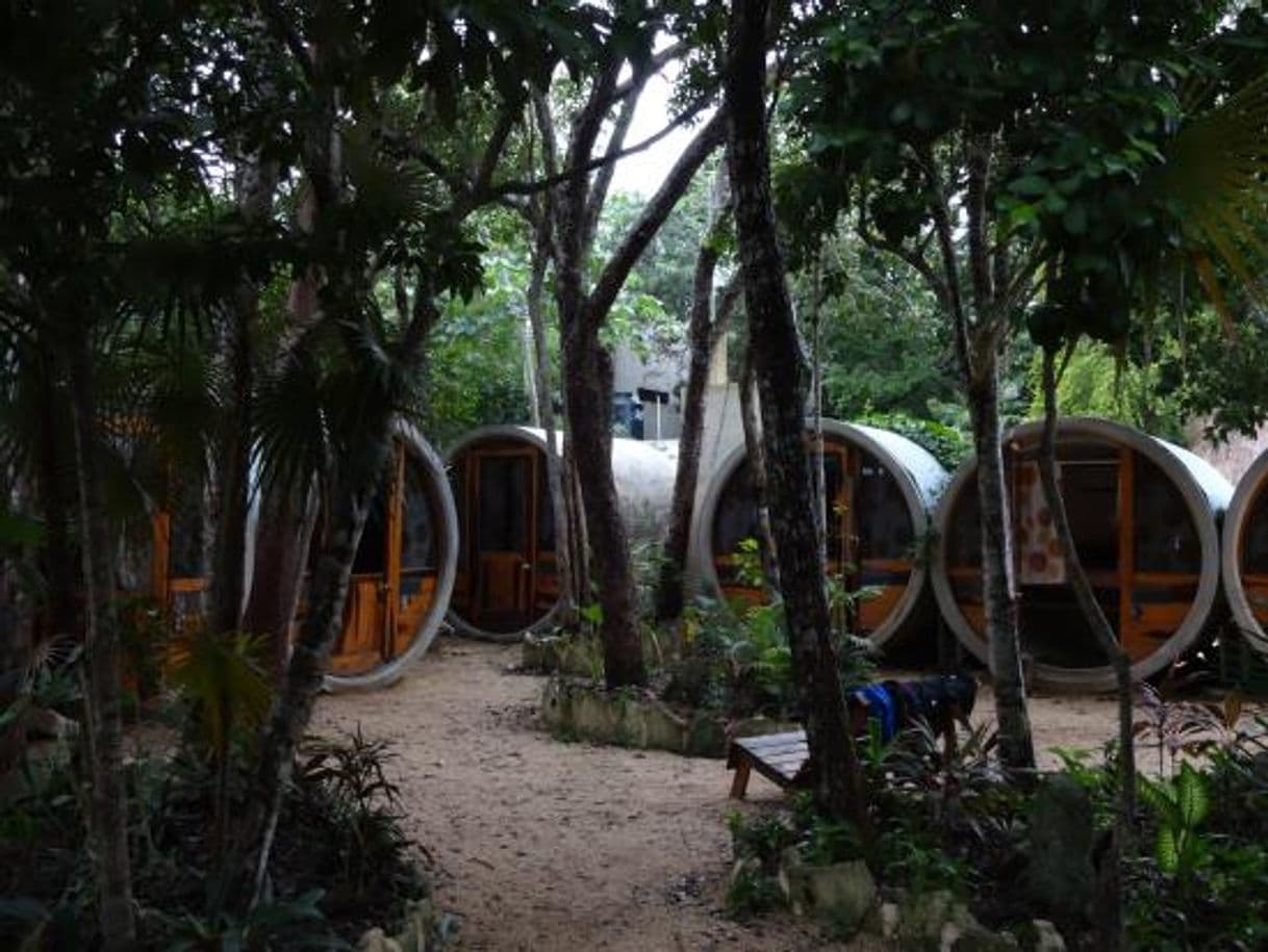 Place TuboTulum Hostel