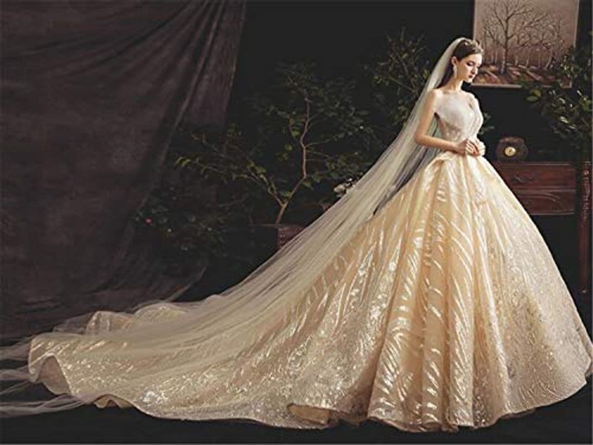 Producto Champagne Vestidos de Novia 2019 Vestido de Fiesta Princesa Vestidos de Novia de Encaje Más tamaño Nupcial Vestido Largo sin Mangas Vestido Vestido de Noiva S