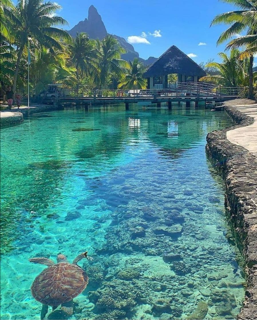 Place Bora-Bora