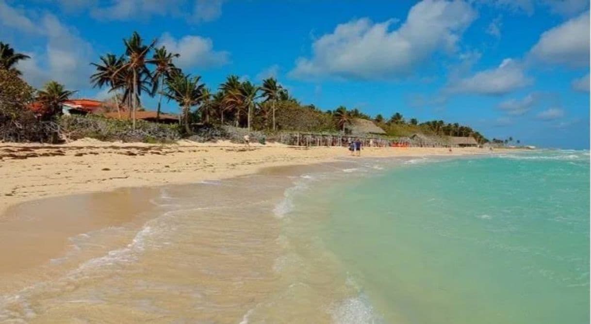 Place 12 Mejores Playas de Cuba 🥇 | Blog Viva Aerobus