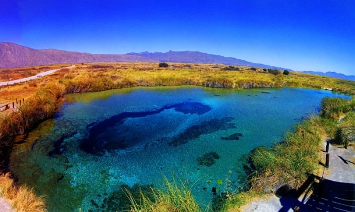 Place Poza Azul Cuatrocienegas