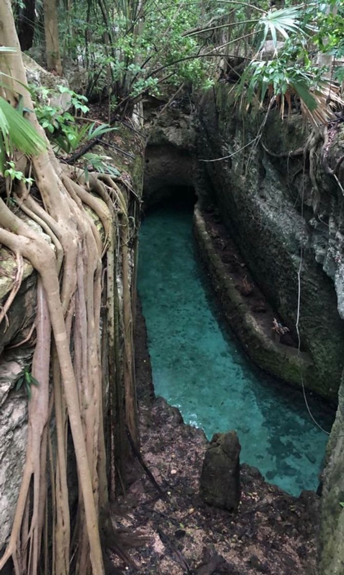 Lugar Xcaret