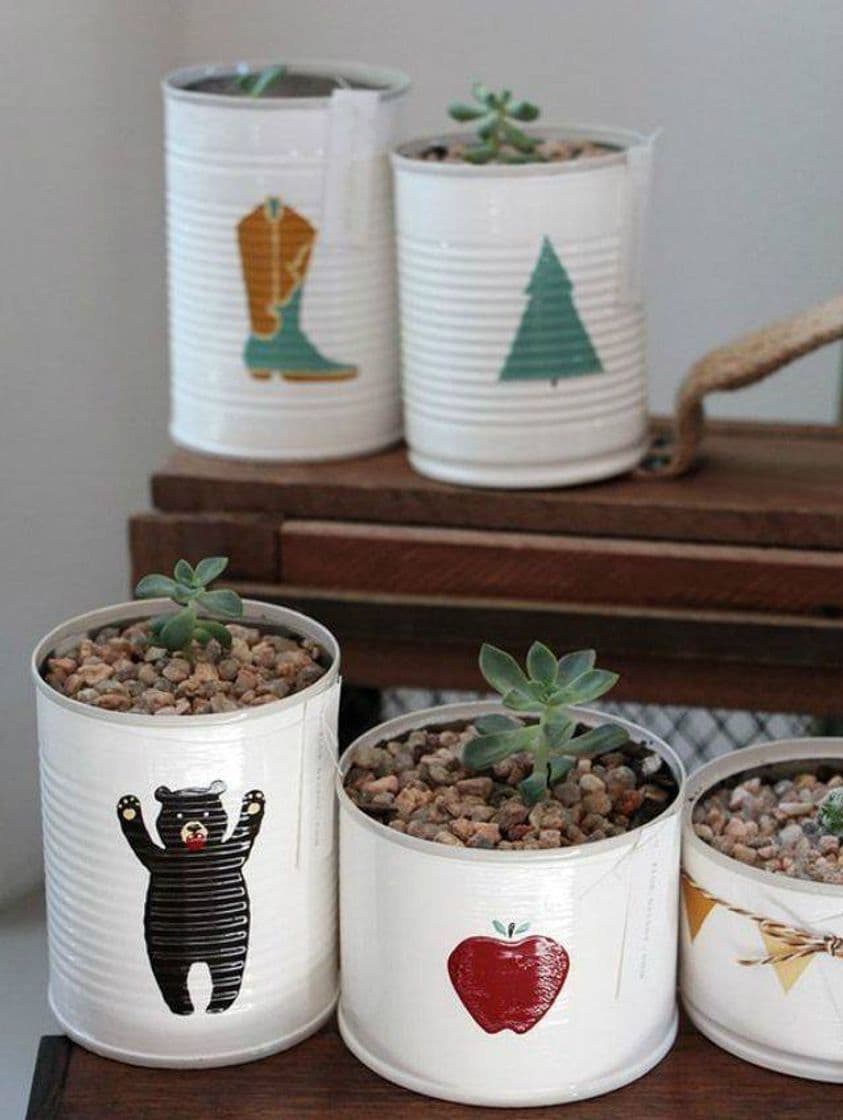 Moda Vasos para plantas.