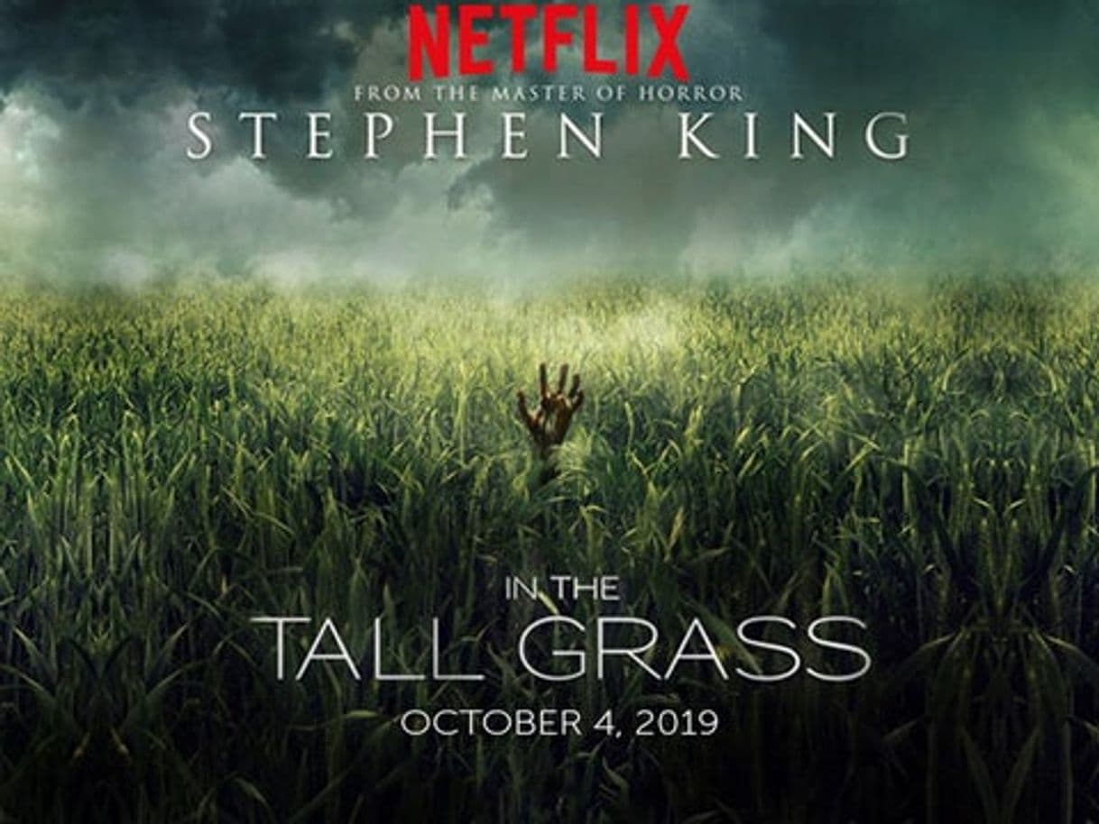 Película In the Tall Grass