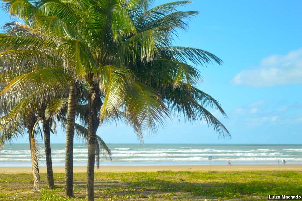 Lugar Praia de Aruana