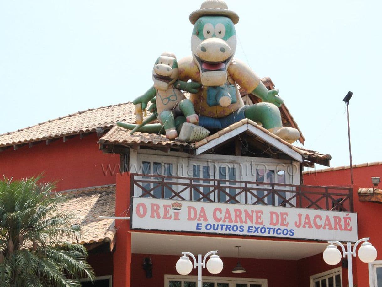 Restaurants Castellabate Restaurante - Carne de Jacaré