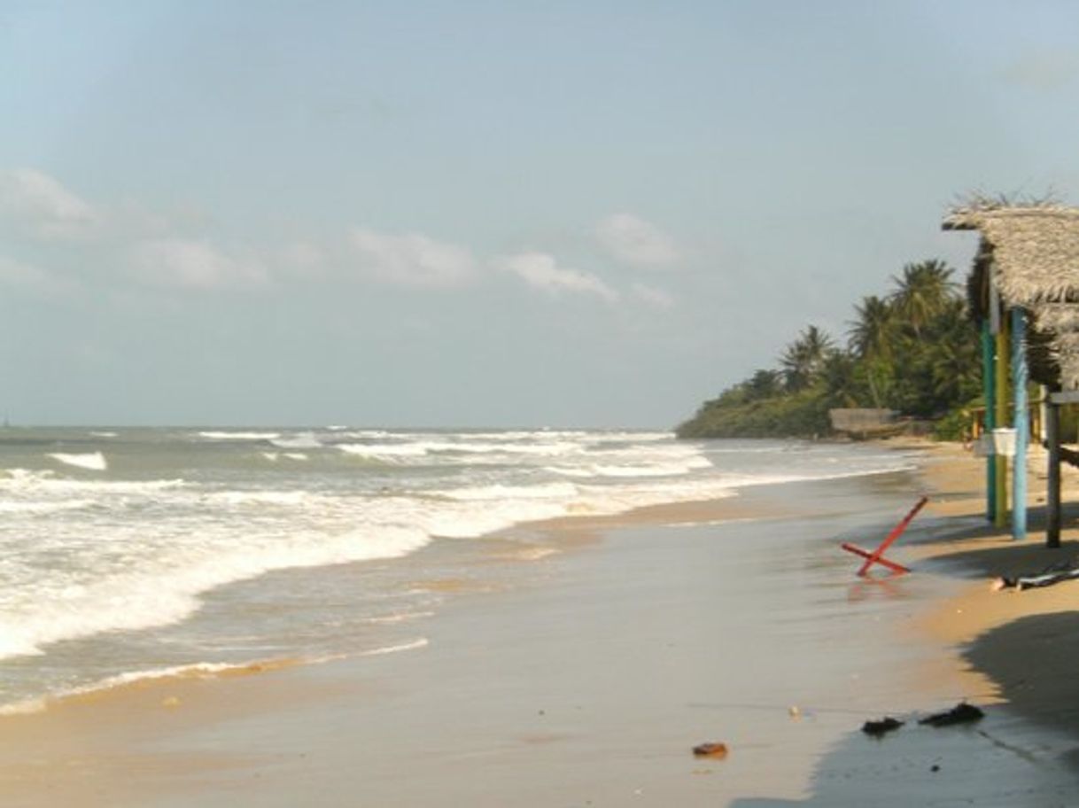 Lugar Praia da Baleia