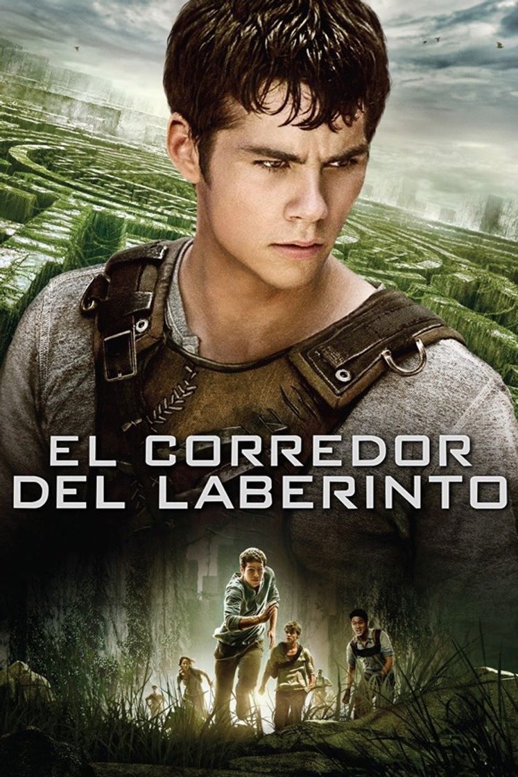 Movie The Maze Runner