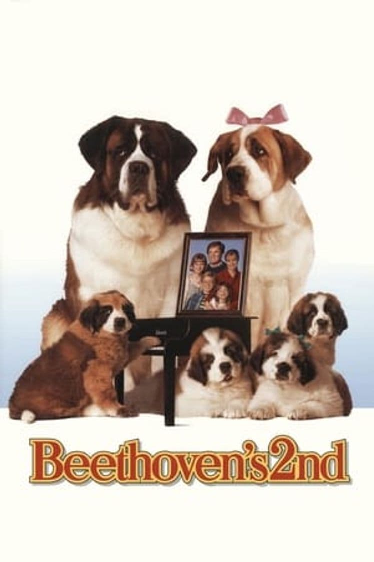 Película Beethoven's 2nd