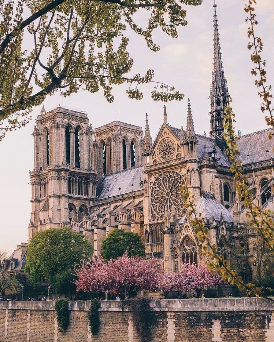 Lugar Notre Dame