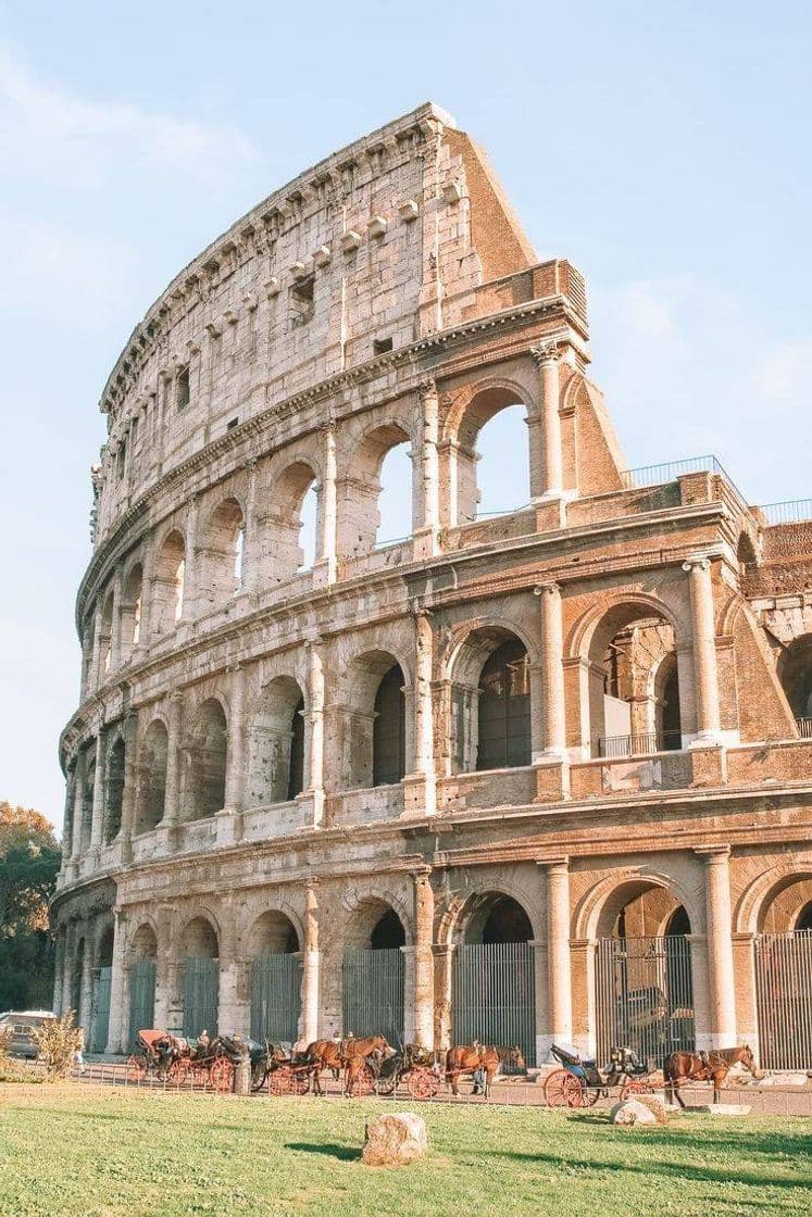 Lugar Coliseo de Roma