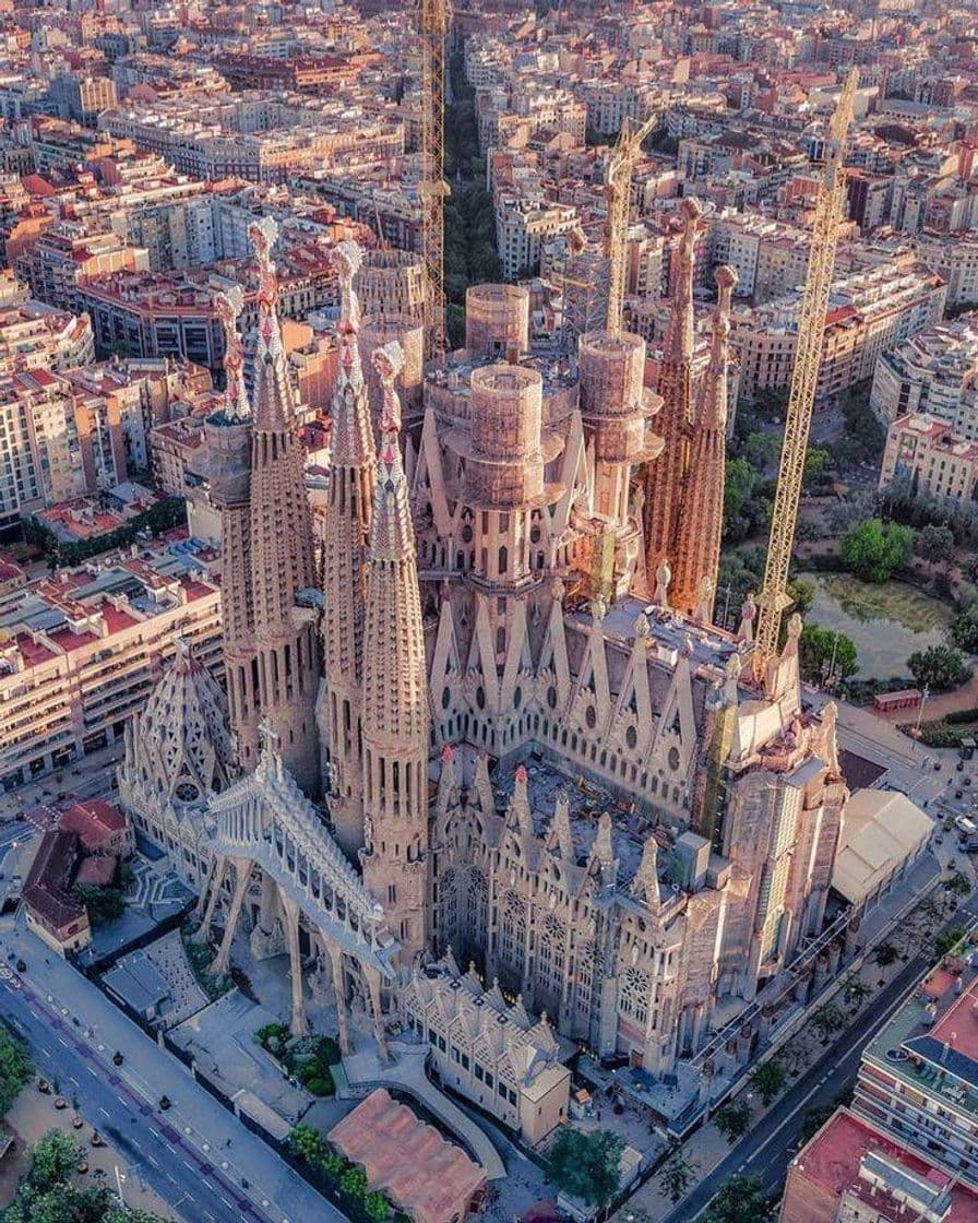 Lugar Basílica Sagrada Familia