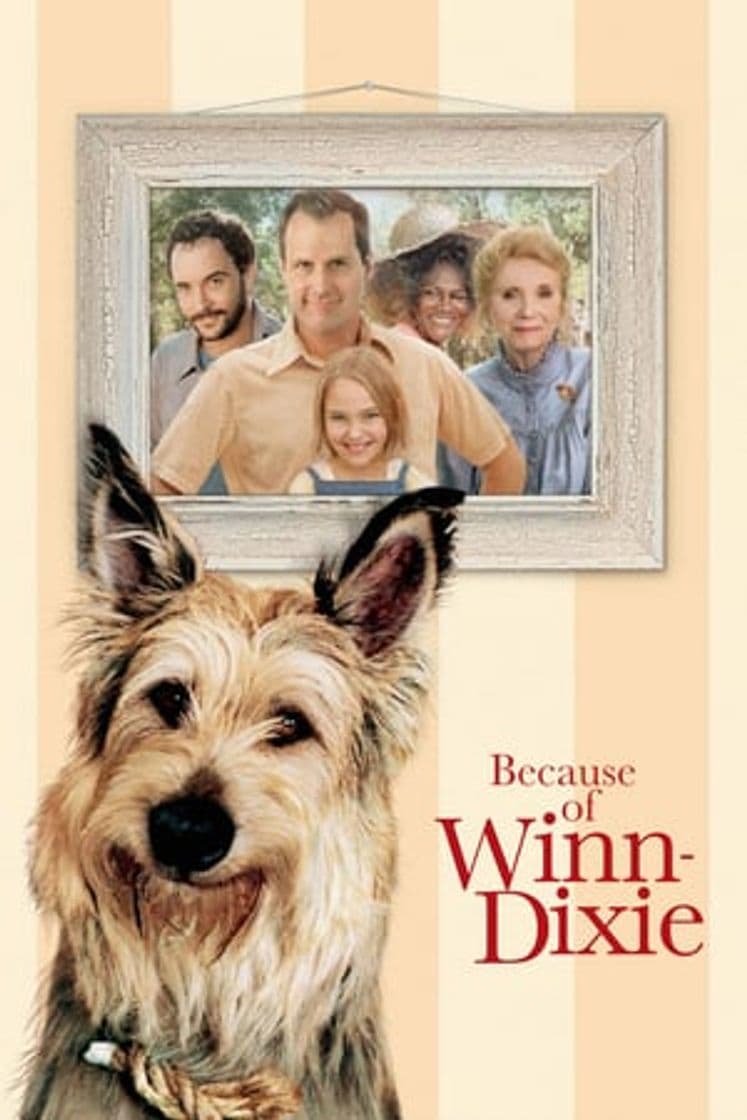 Película Because of Winn-Dixie