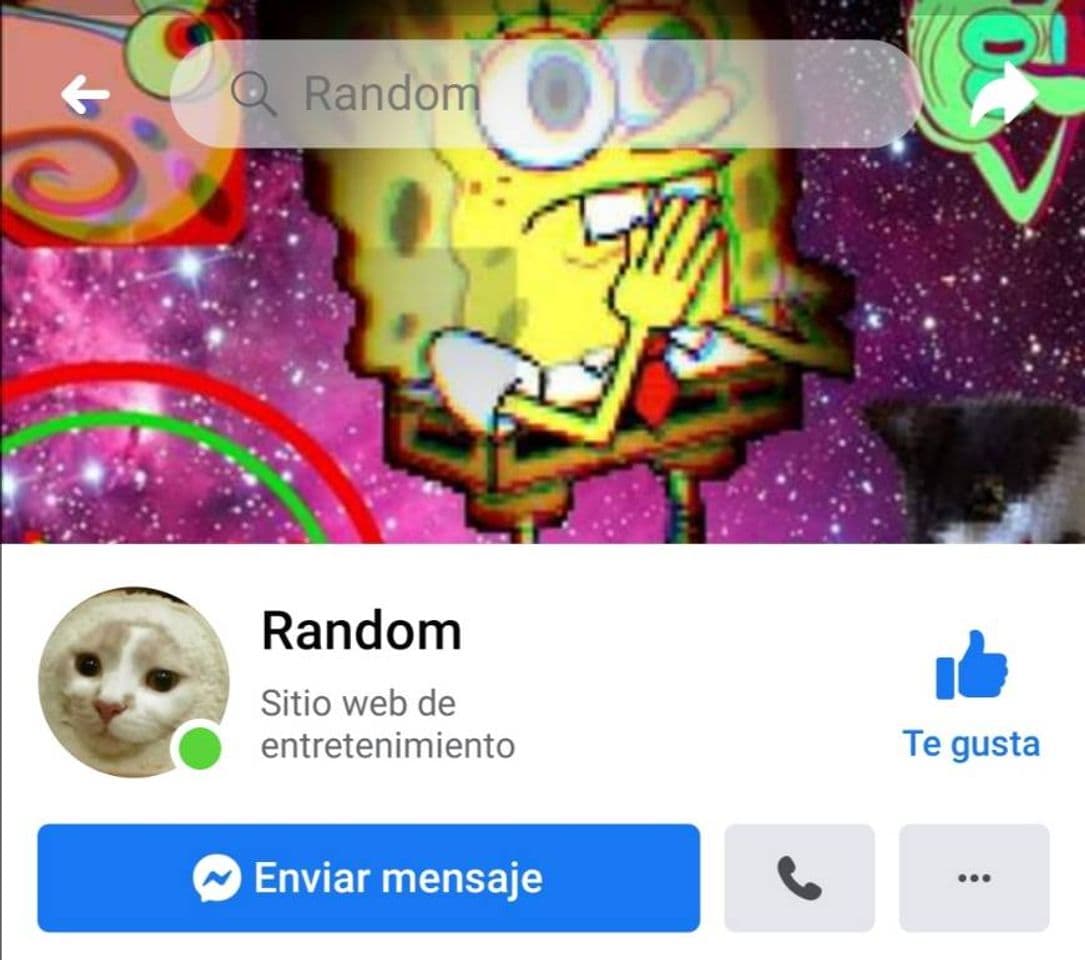 Moda Random | página de Facebook 