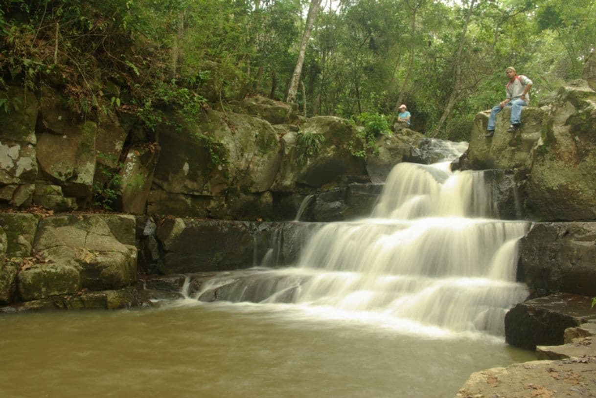 Place Reserva Natural Miraflor