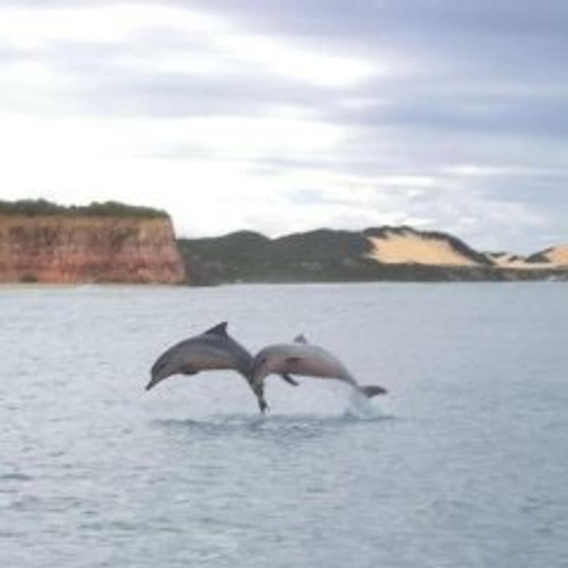 Lugar Baía dos Golfinhos