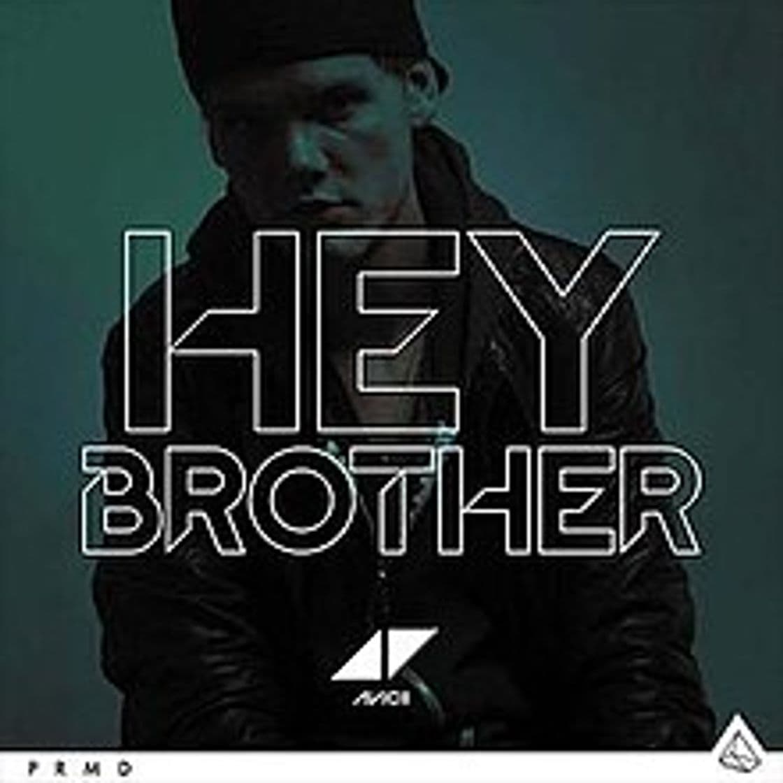 Canción Hey Brother