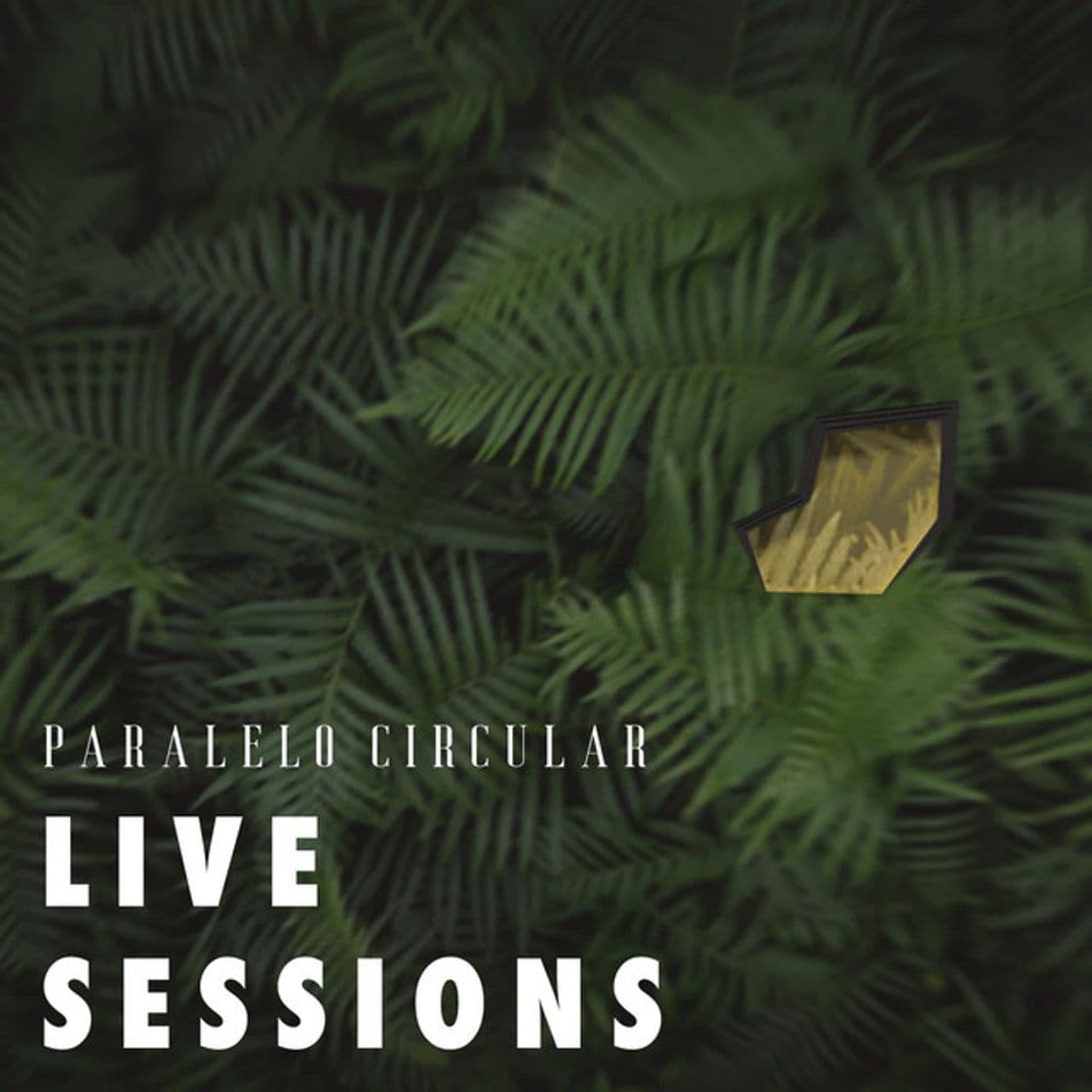 Music Paralelo Circular (Live Sessions)