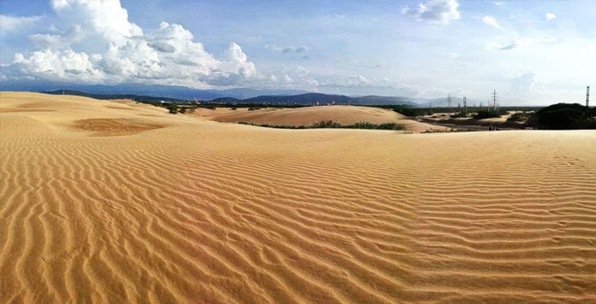 Place Parque Nacional Médanos De Coro