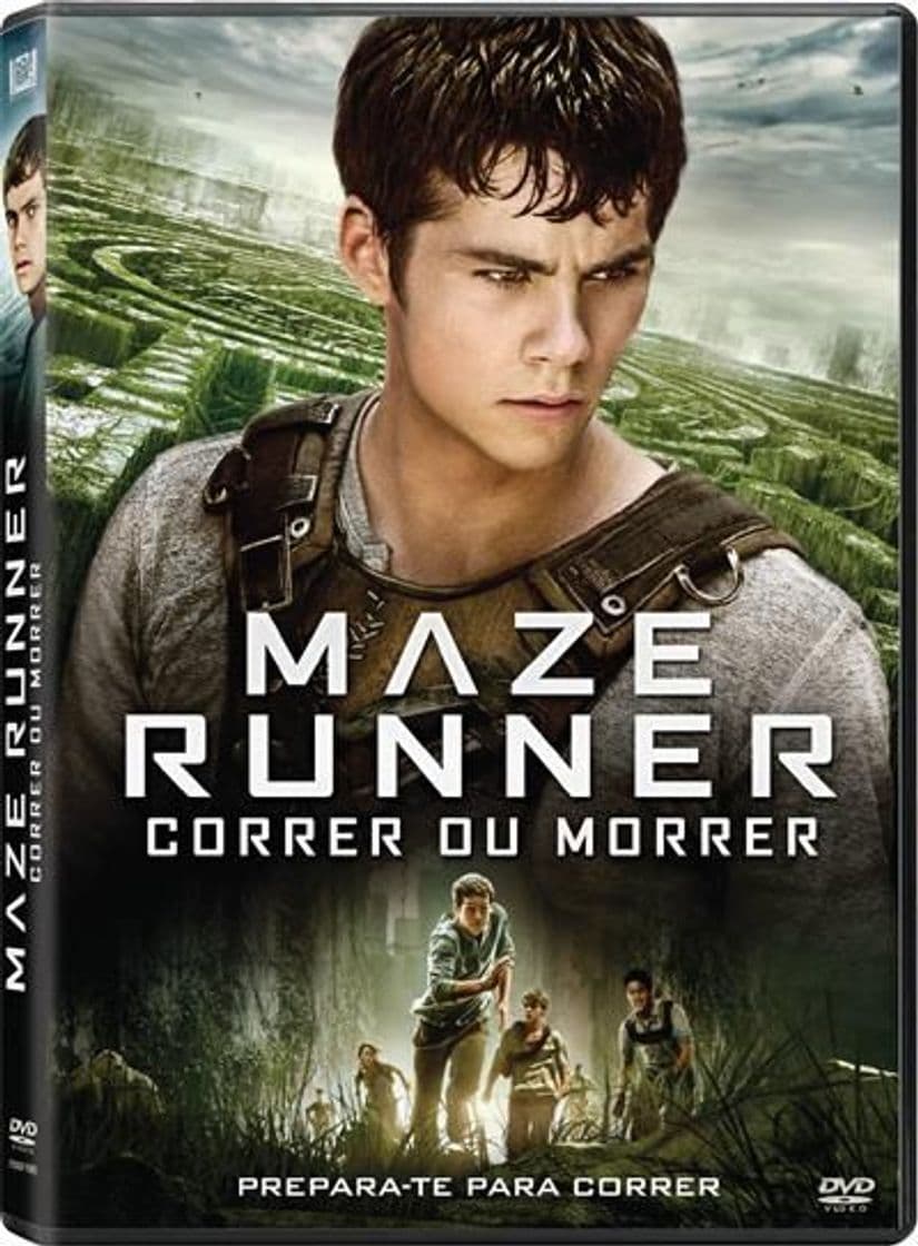 Movie The Maze Runner