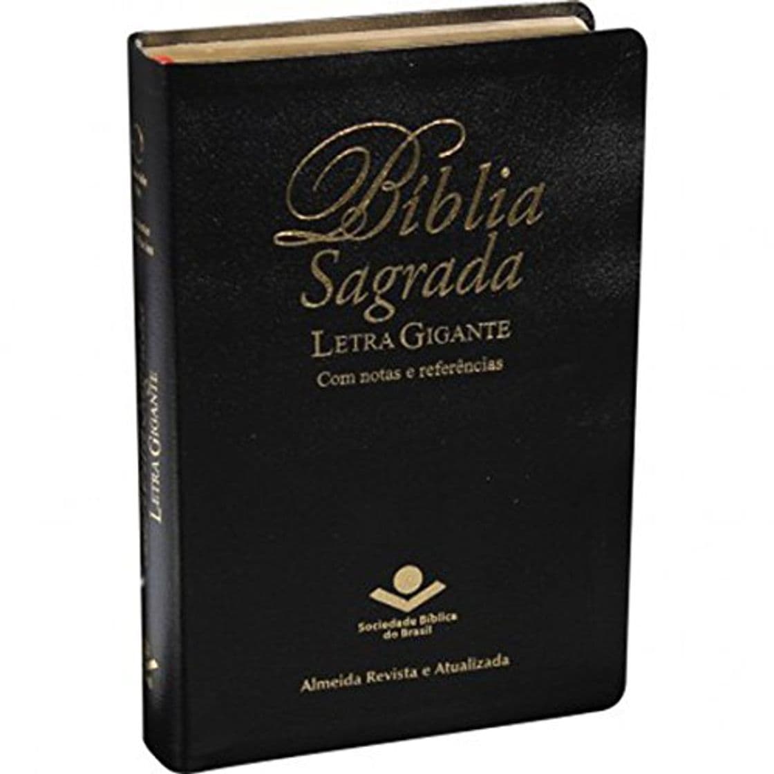 Book Biblia Segrada Letra Gigante Com Notas E Referencias-FL