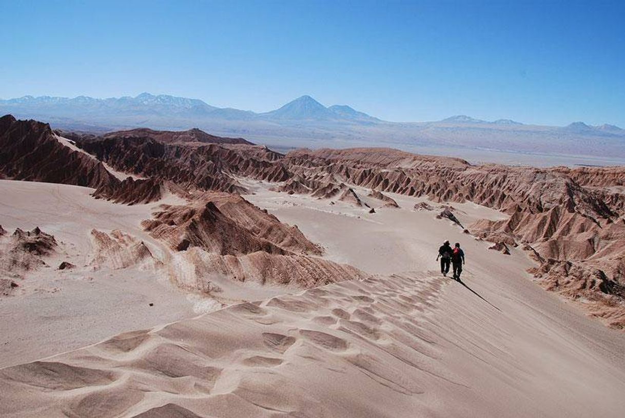 Moda DESIERTO DE ATACAMA 