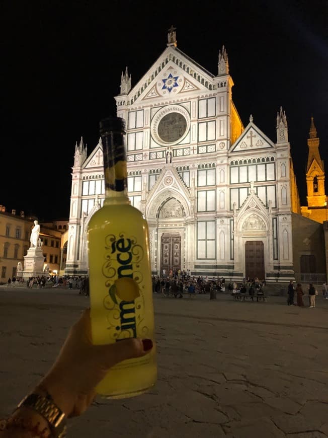 Lugar Basilica di Santa Croce di Firenze