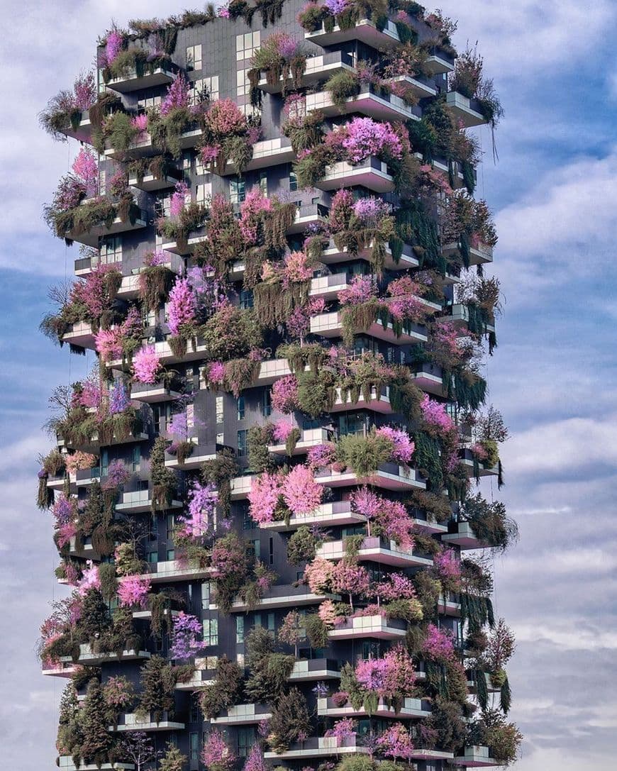 Lugar Bosco Verticale