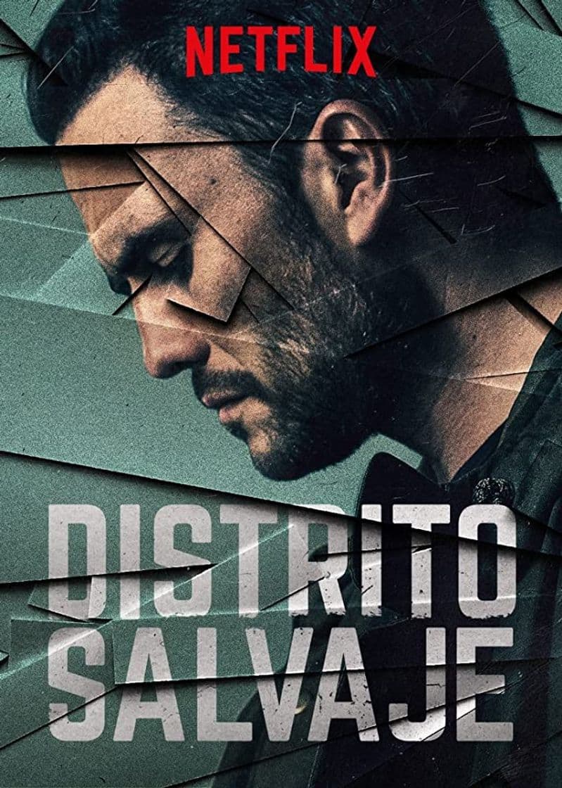 Serie Wild District