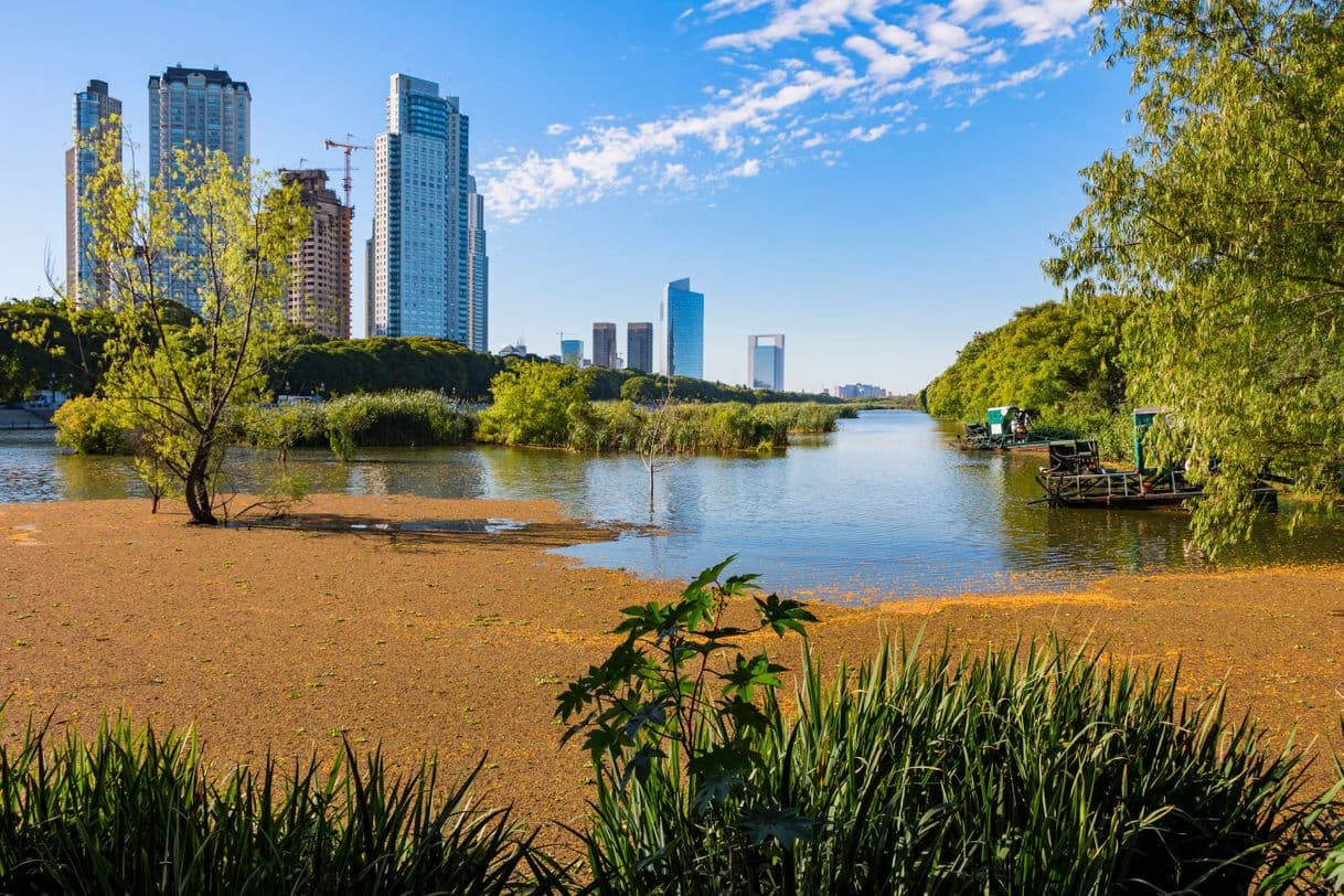 Lugar Reserva Ecológica Costanera Sur