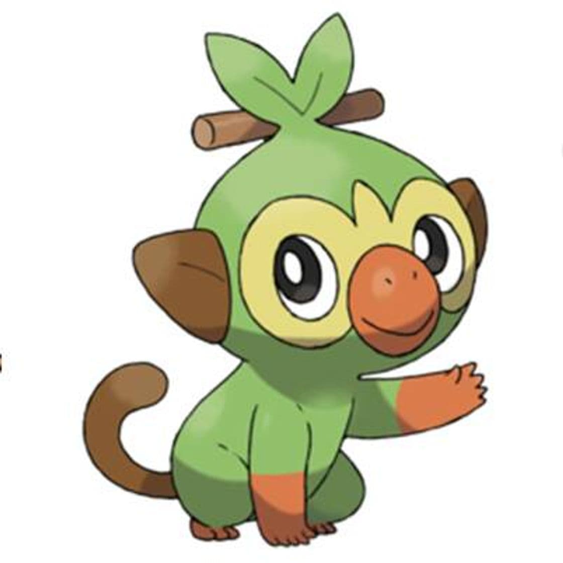 Moda Grookey