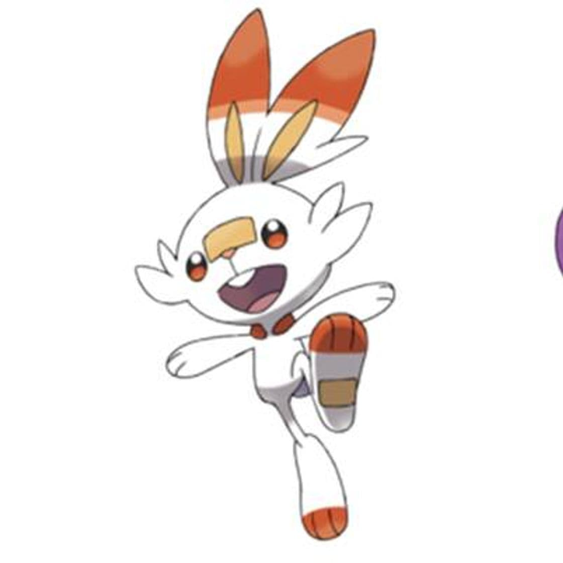 Moda Scorbunny