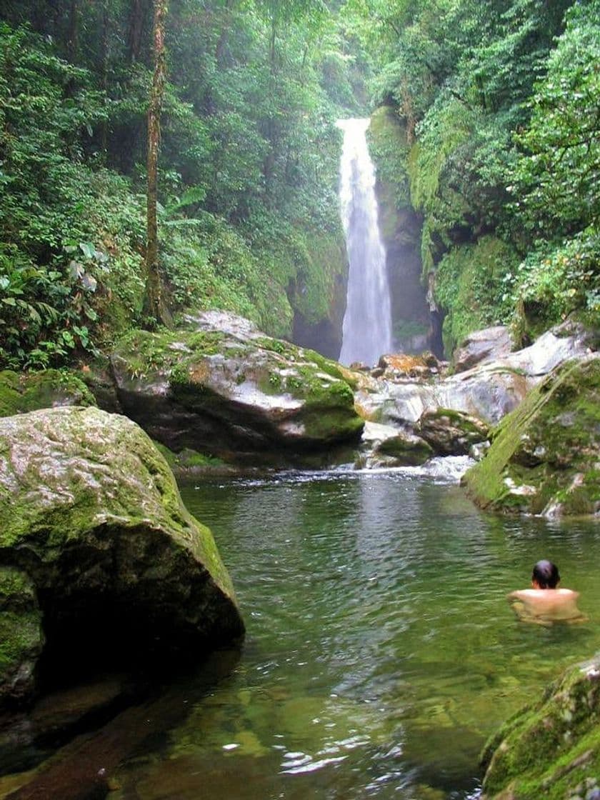 Place Parque Nacional Pico Bonito